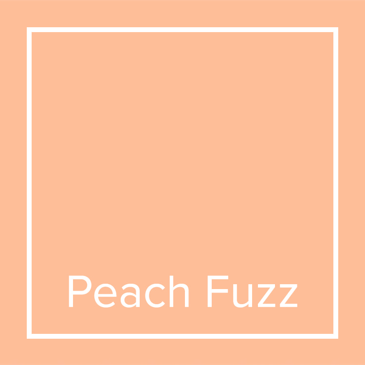 Pantone Colour of the Year 2024 - Peach Fuzz