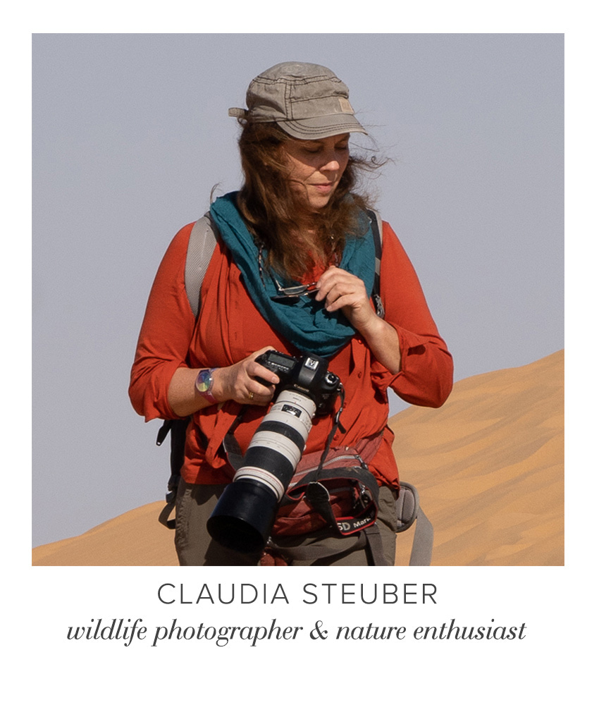 Claudia Steuber - wildlife photographer & nature enthusiast