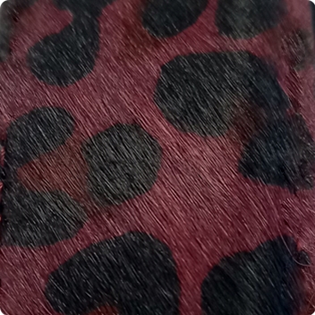 Java Leopard