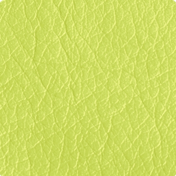 Lime Texture